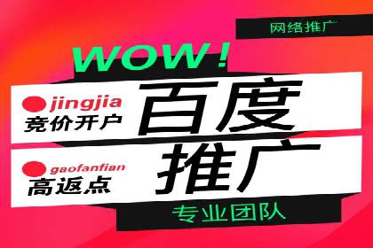 网络推广竞价实战案例分析集